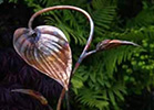 Copper Hosta leaf detail- by Gary Pickles of Metallic Garden
