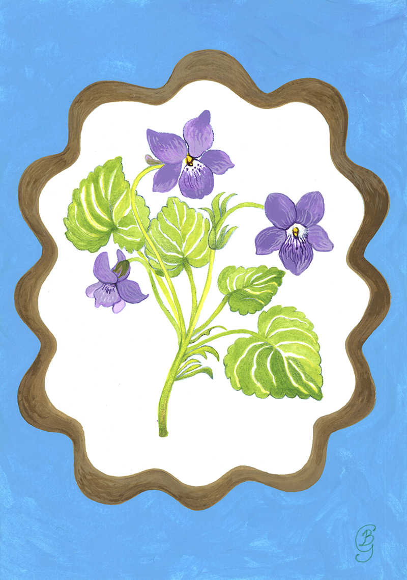 Wild Violet - print by Bronwen Glazzard