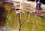 copper fig leaf fountain- by Gary Pickles of Metallic Garden