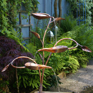 hosta click for details