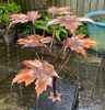 copper maple leaf detail from Metallic Garden