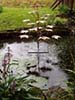 copper maple fountain at crook hall in durham