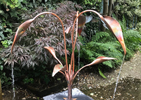 copper Damsel Fly and Arum lily fountain at crook hall in durham