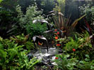 copper hosta fountain in a koi pool