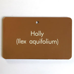 Copper tree tag with white engraving