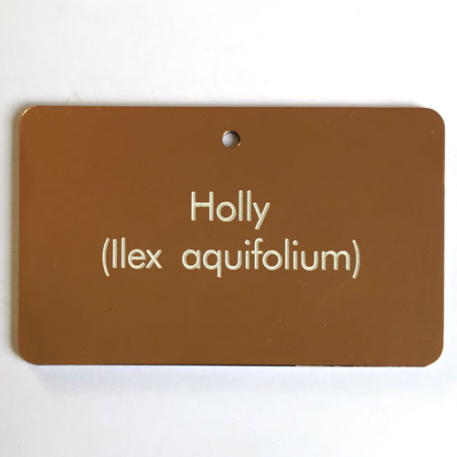 Engraved Copper Tree Tag by Metallic Garden